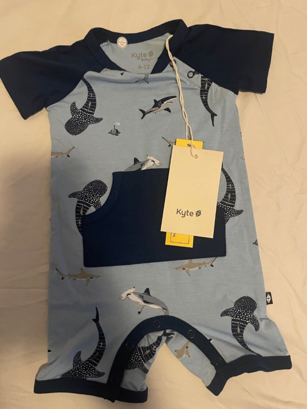 Kyte Baby shortall in stream shark